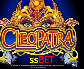 ssbet Curitiba - Live Status